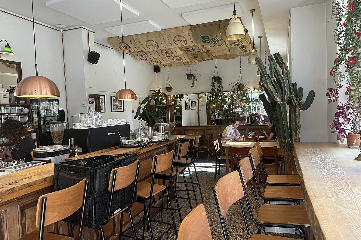 Lüttes – Braunschweig Kaiserstraße Braunschweig – Image 3