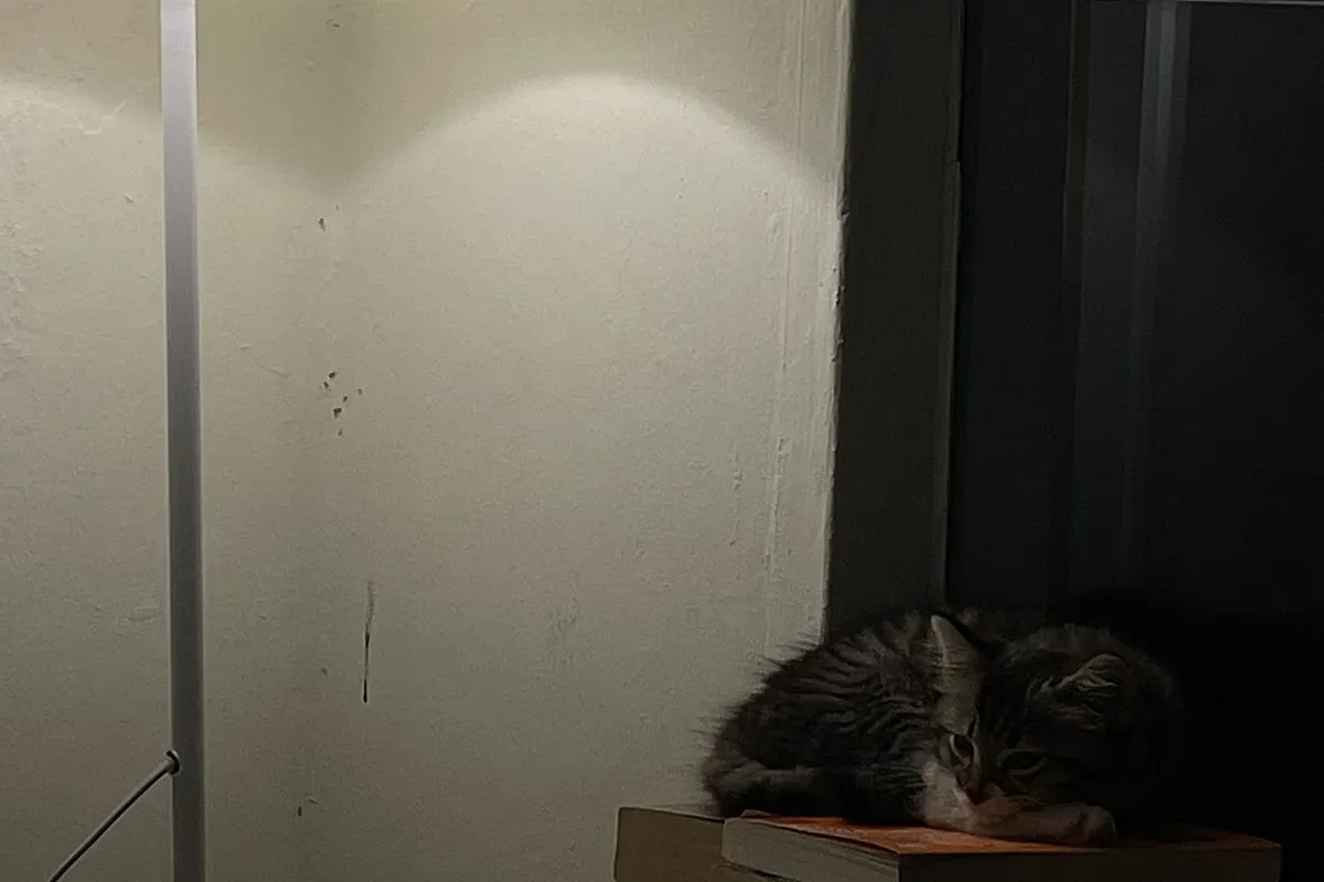 Kafe Moara Taman Tunku Habsah Alor Setar – Image 2