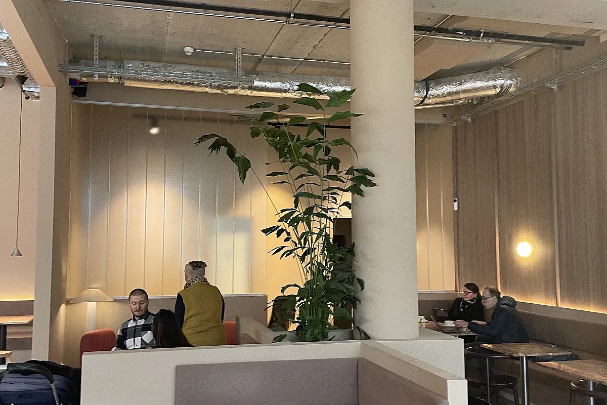 Codos Coffee Osterstraße Hannover – Image 3