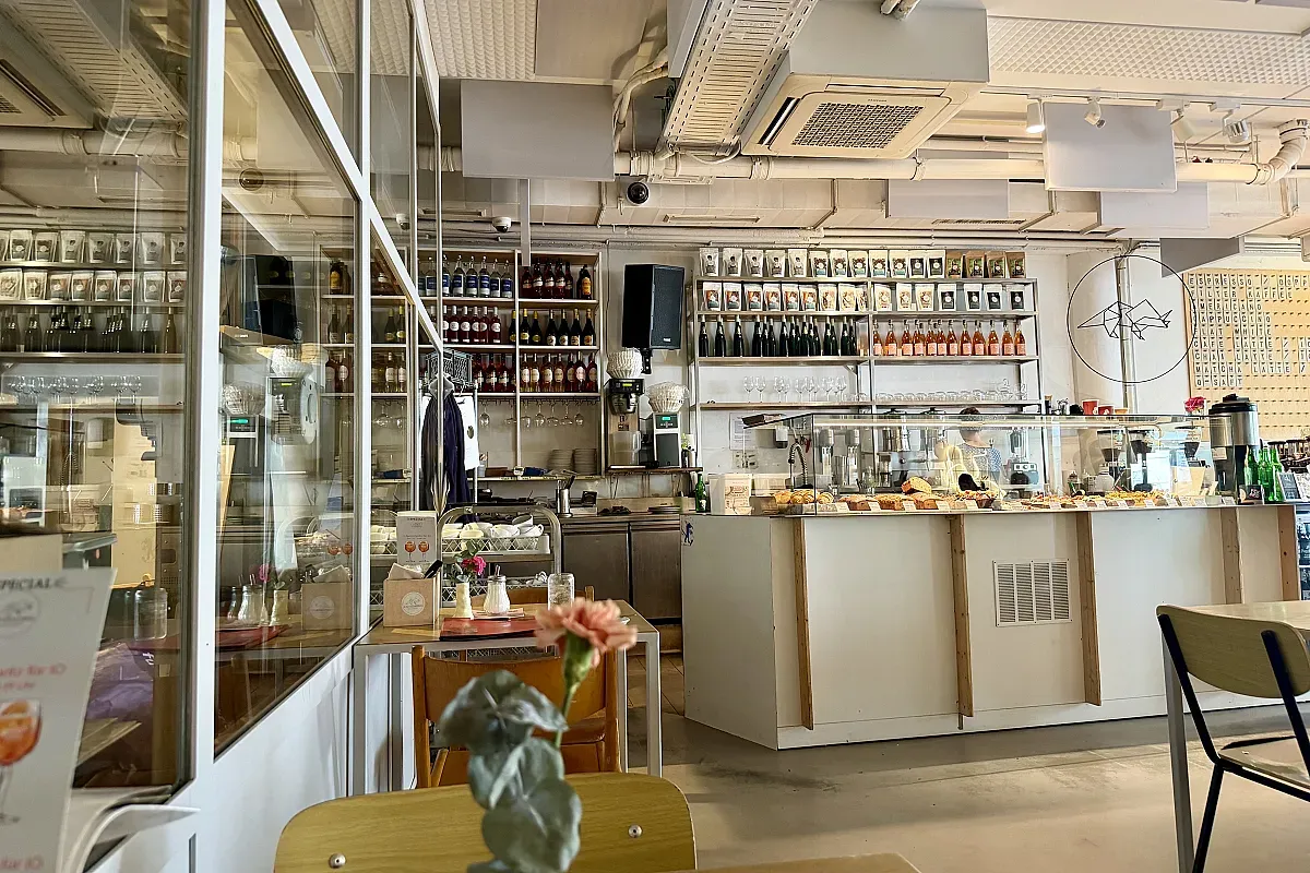 Kaffeesaurus – Image 4