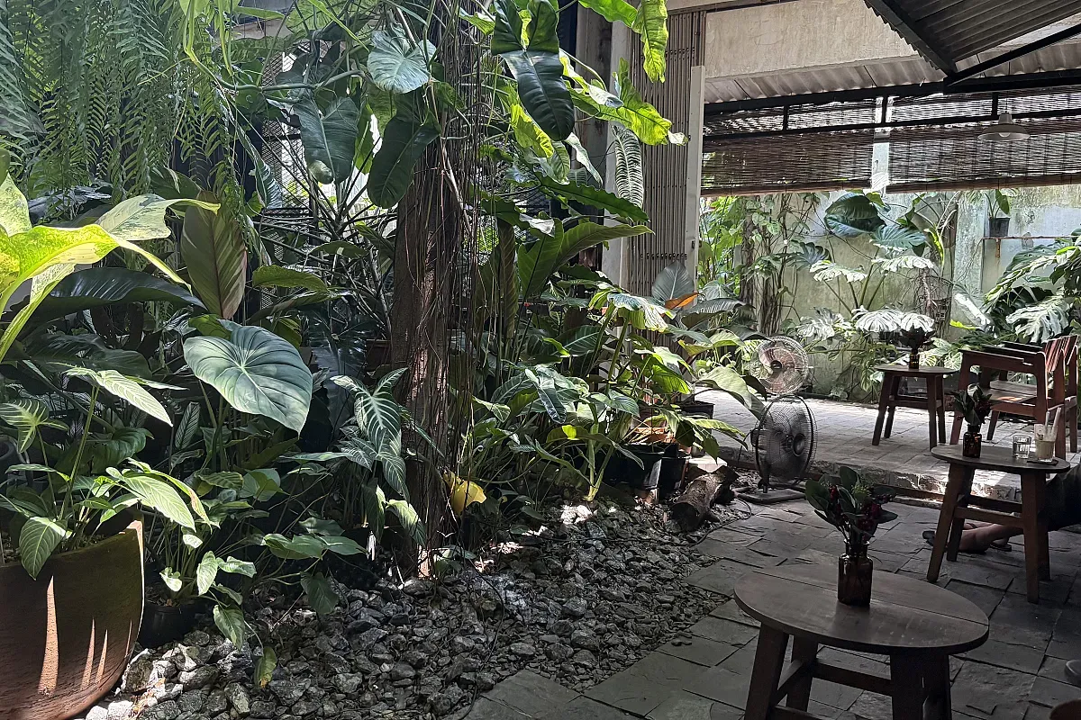 Myan coffee 2 – Image 3