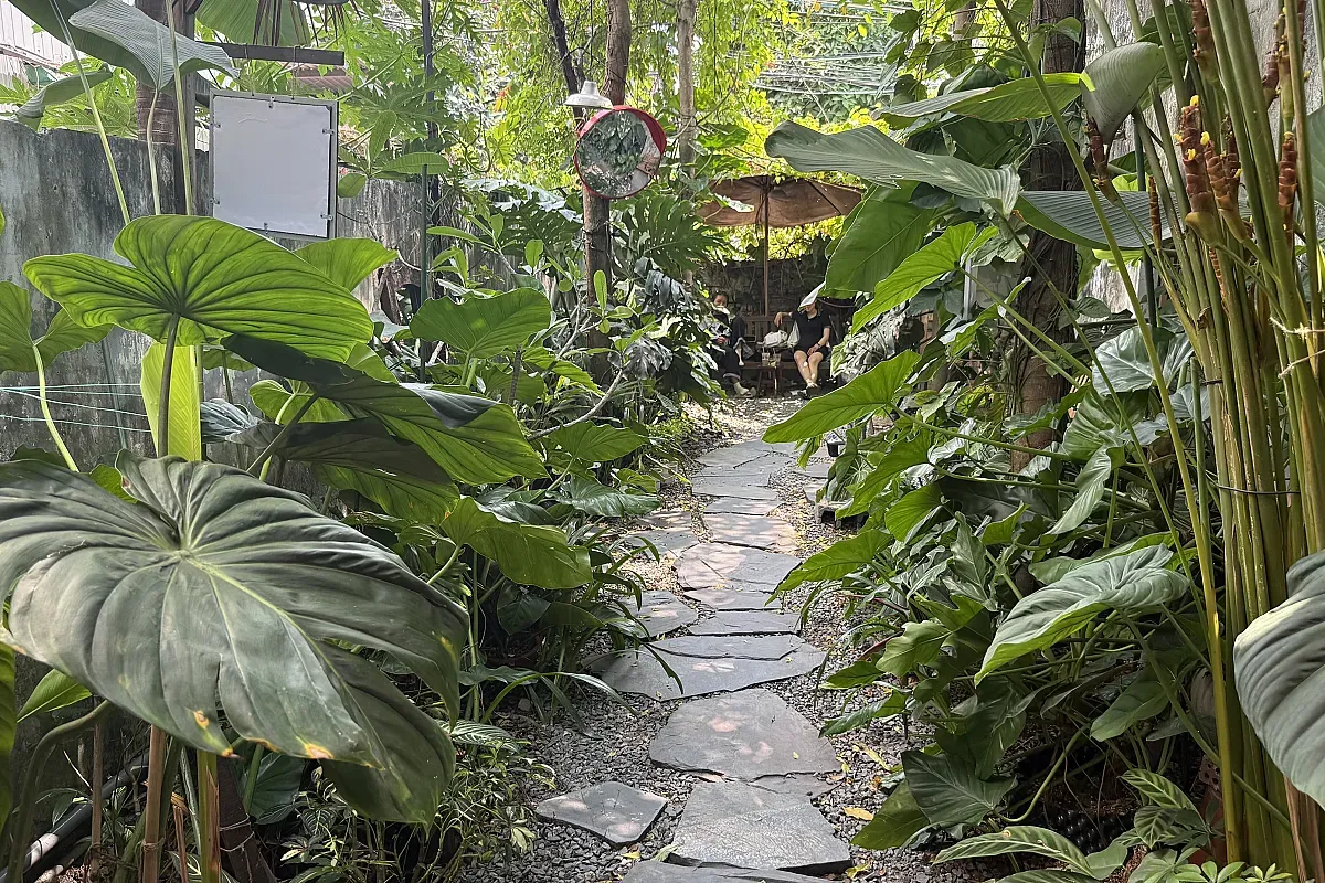 Myan coffee 2 – Image 4