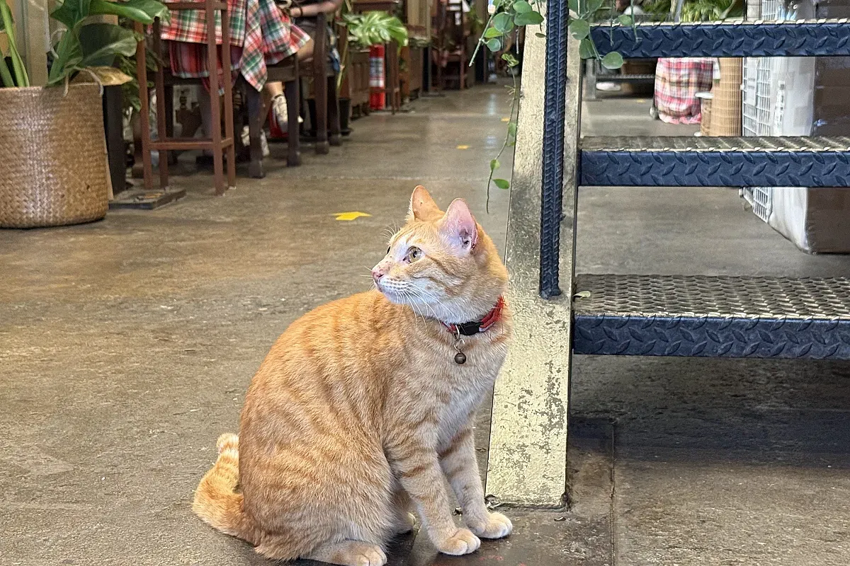 Baan Saen Saep – Image 5