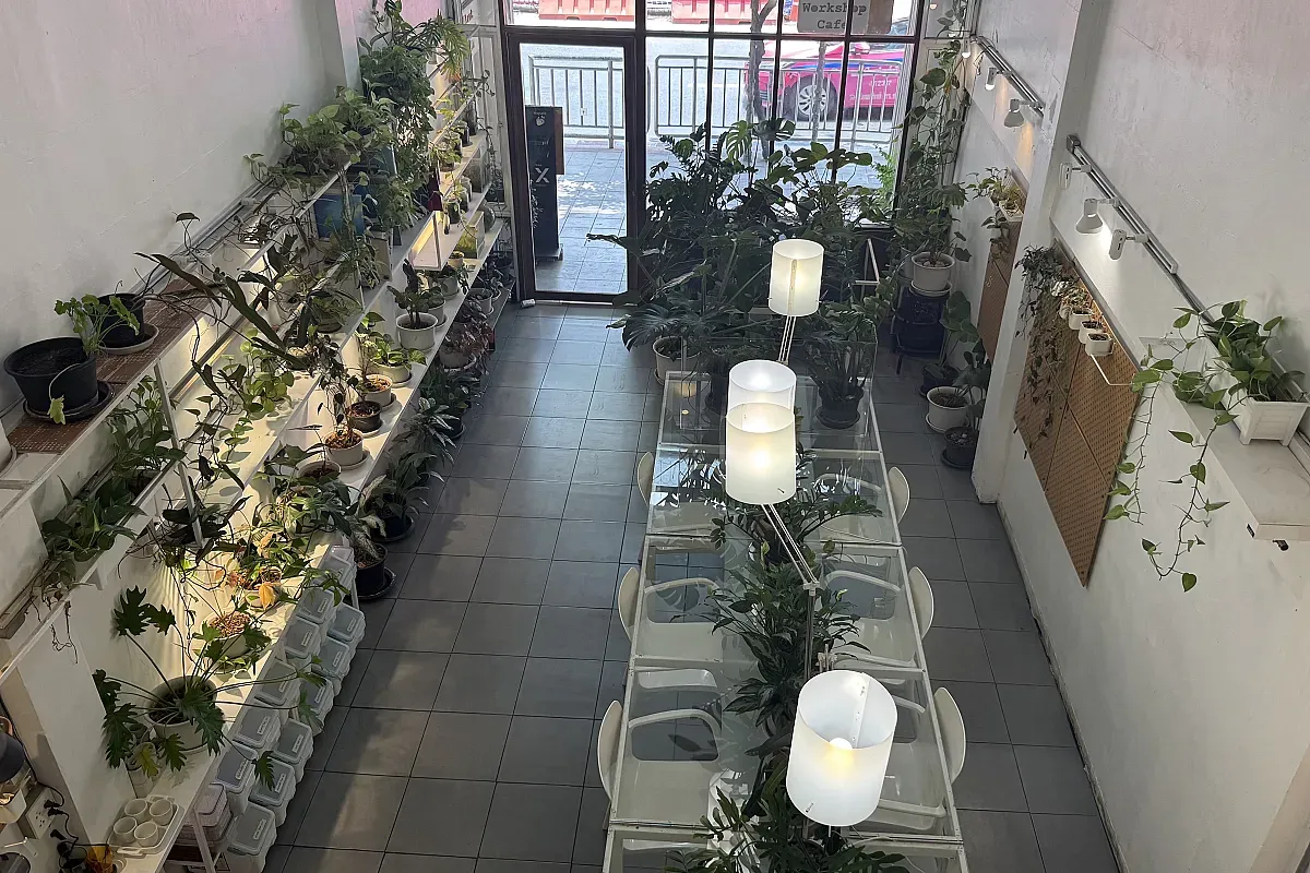 Plant workshop cafe – Image 1