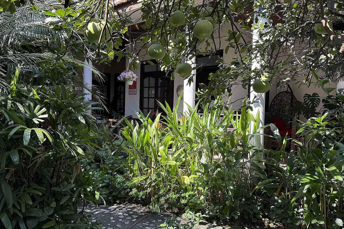Coworking Danang – Image 4