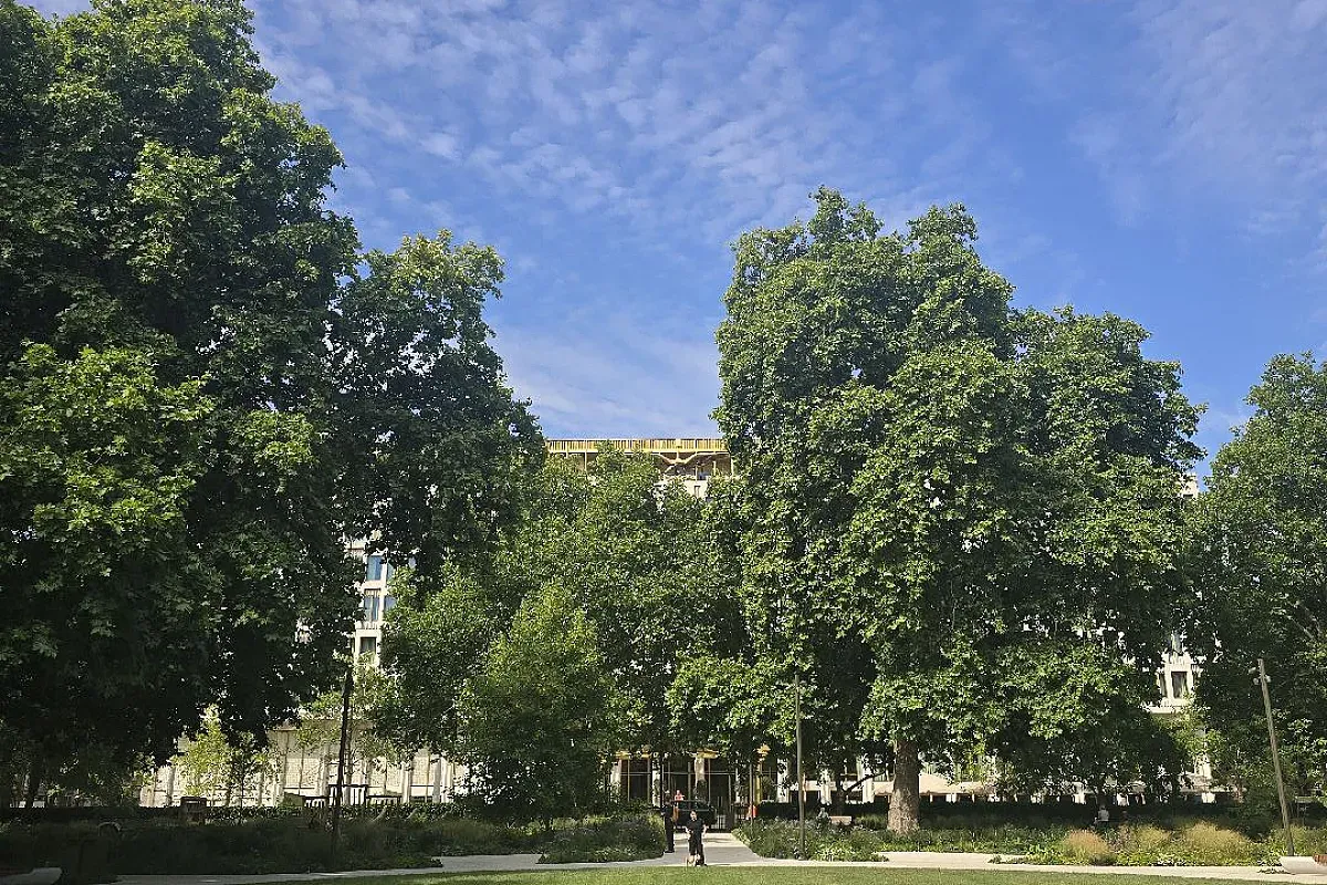 GSQ – Image 3