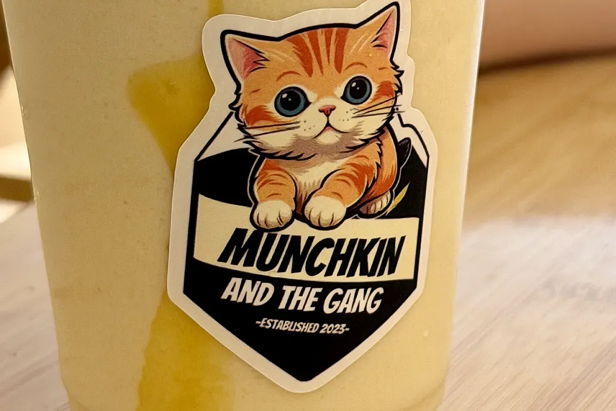 Munchkin & The Gang Cat Cafe – Image 1