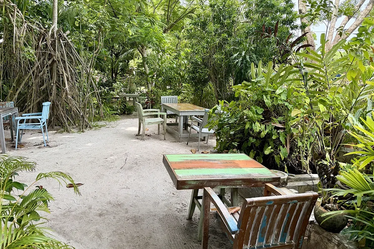 Smiling Buffalo Cafe – Langkawi – Image 2