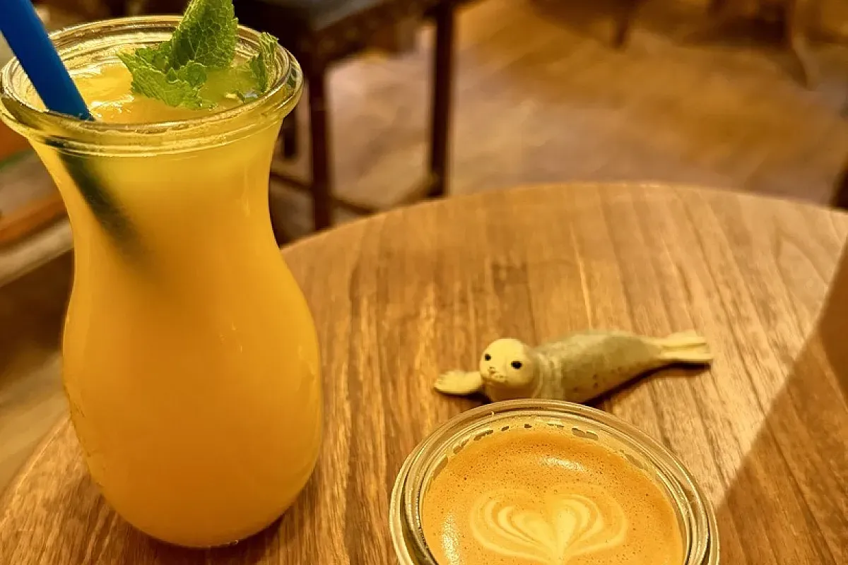 Hommage Café in Köln – Bild 5